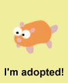 AngelPet, our lovable gay Hamster. Adopt a gay pet today!